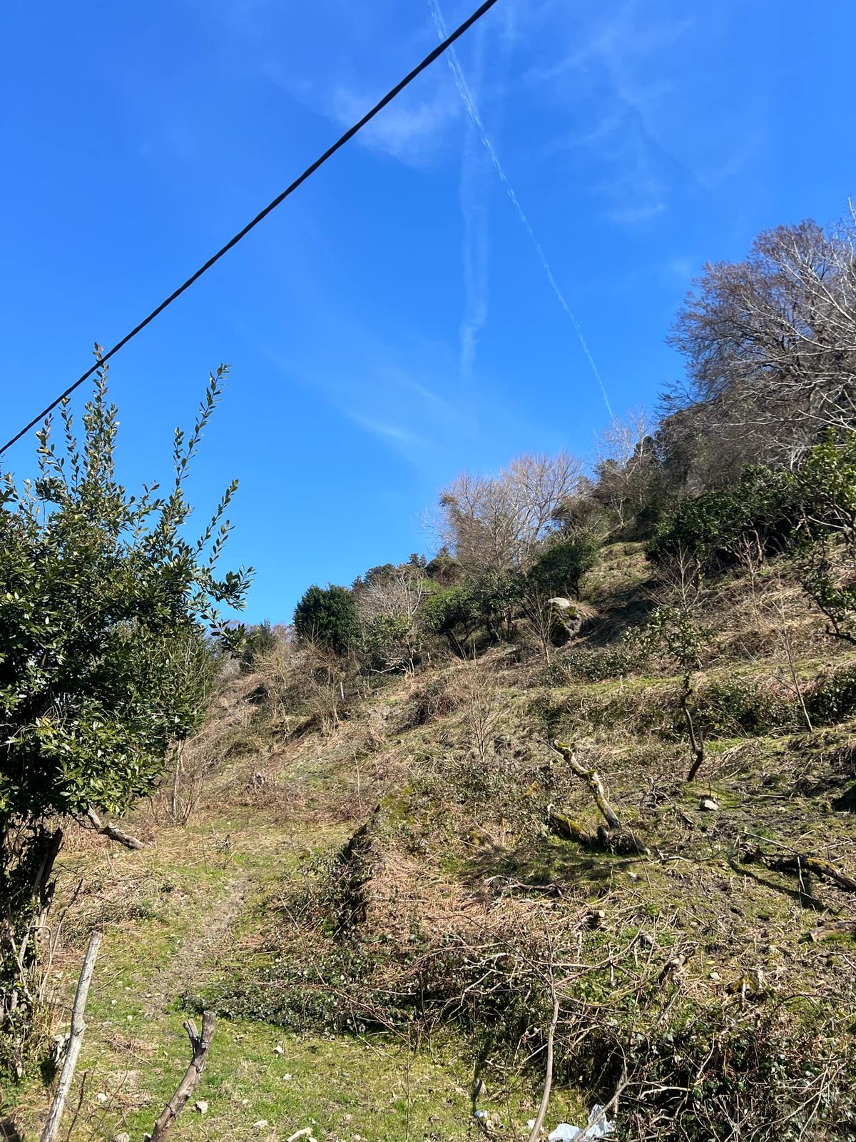WhatsApp Image 2025-03-13 at 16.27.24 Plot of land in Gonio