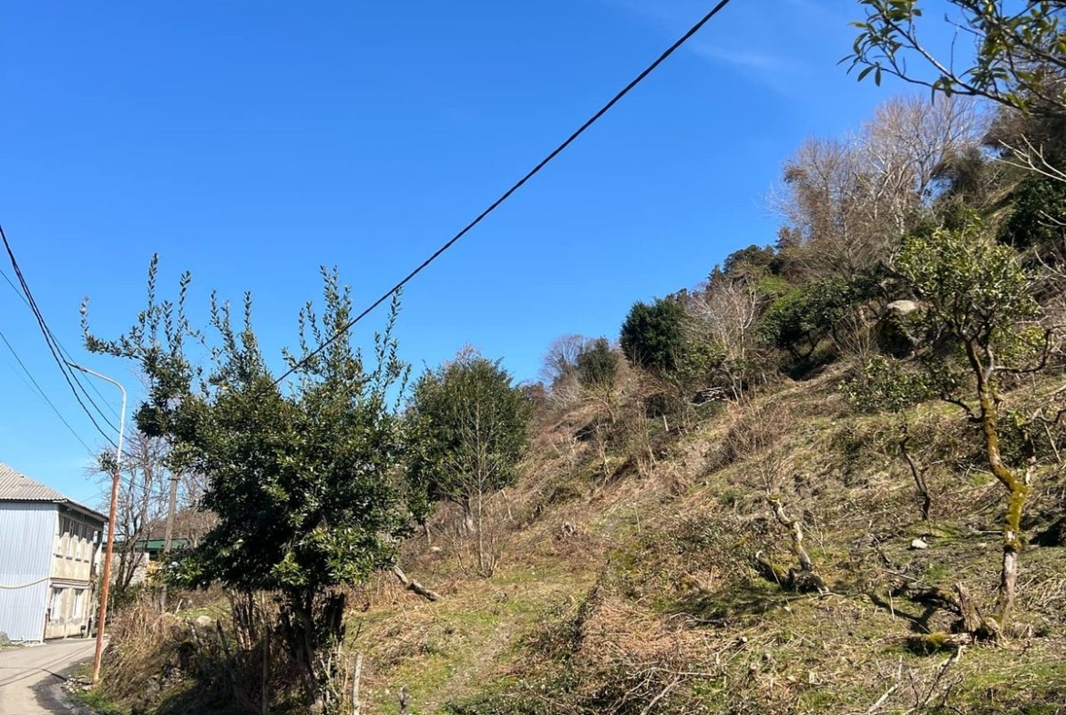 Plot of land in Gonio