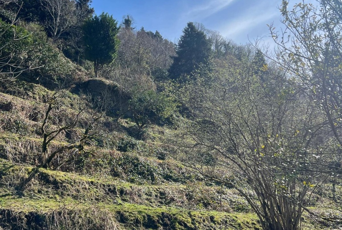Plot of land in Gonio
