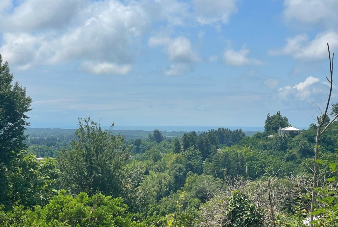 Plot of land in Zemo Natanebi