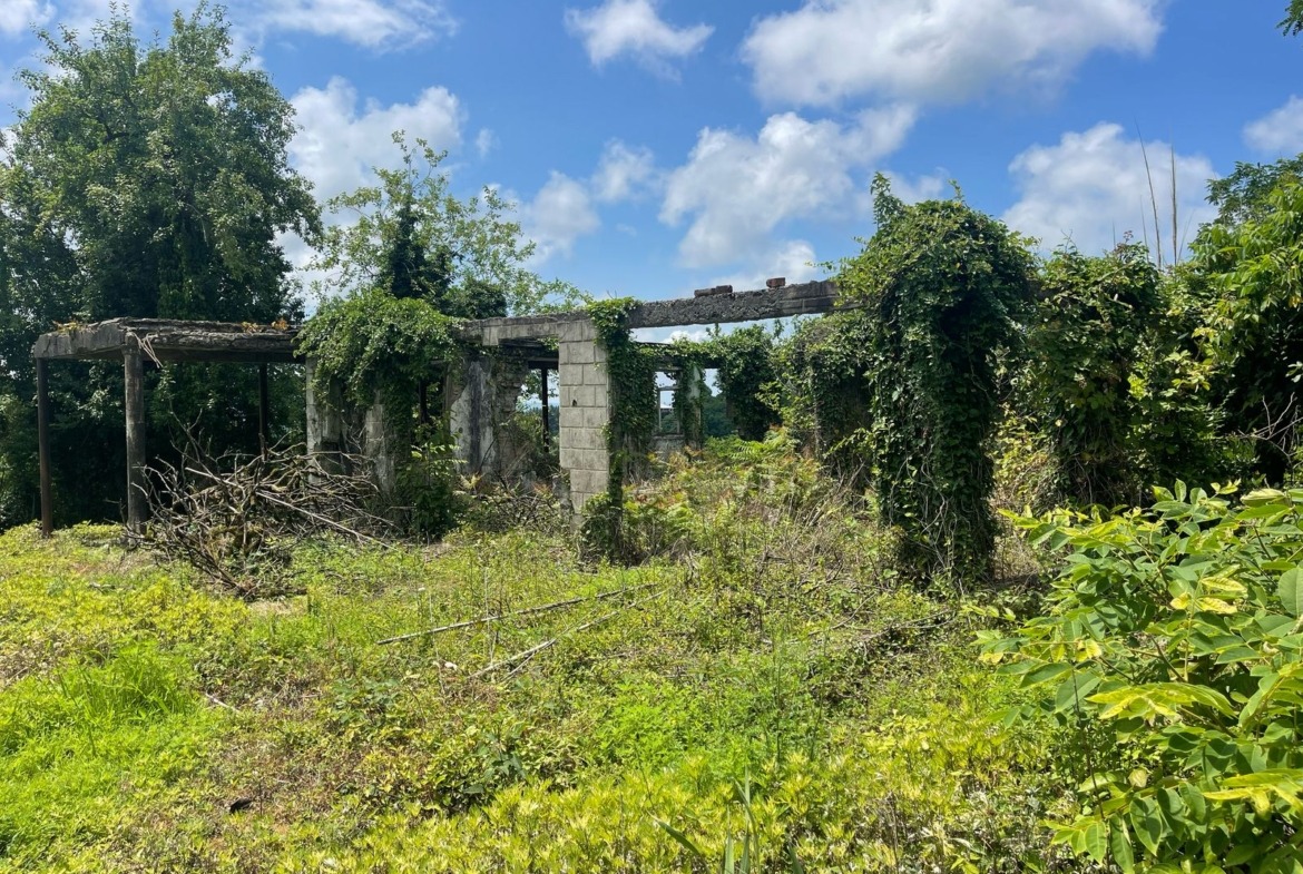 Plot of land in Zemo Natanebi