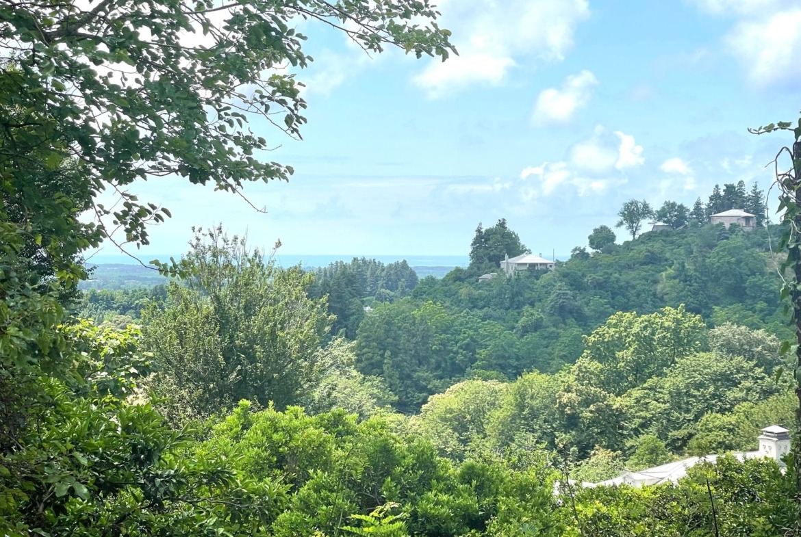 Plot of land in Zemo Natanebi