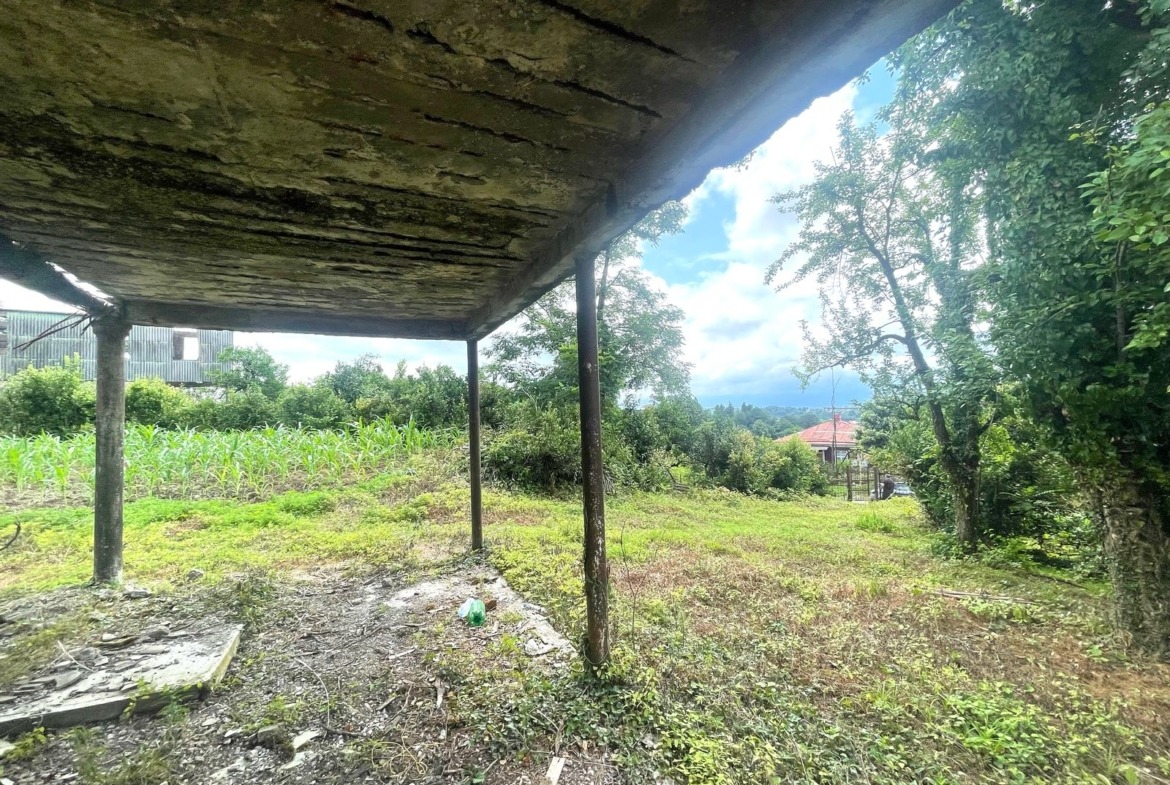 Plot of land in Zemo Natanebi