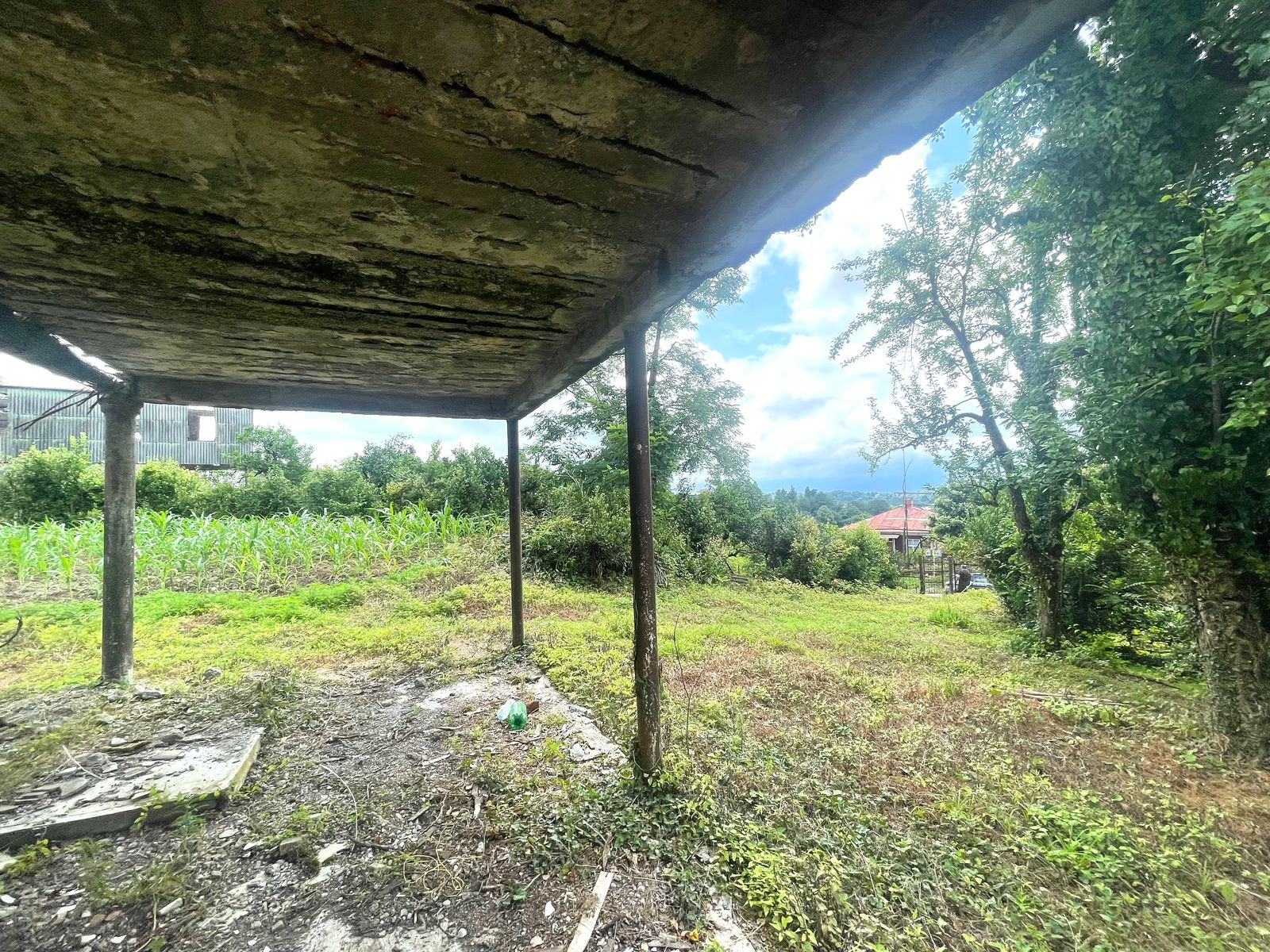 Plot of land in Zemo Natanebi