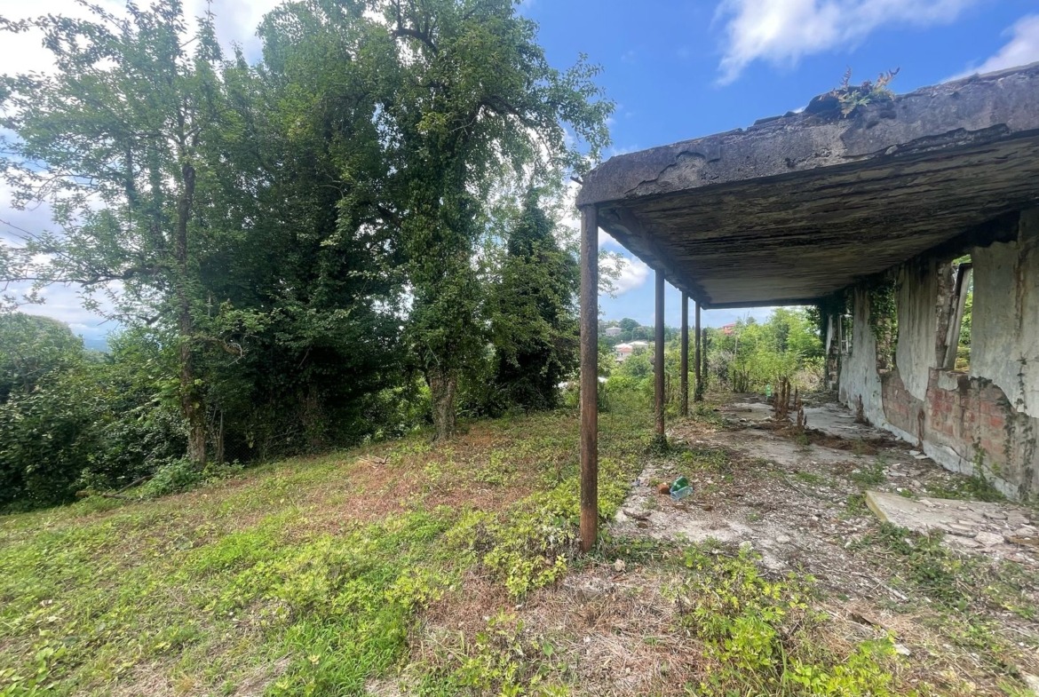 Plot of land in Zemo Natanebi