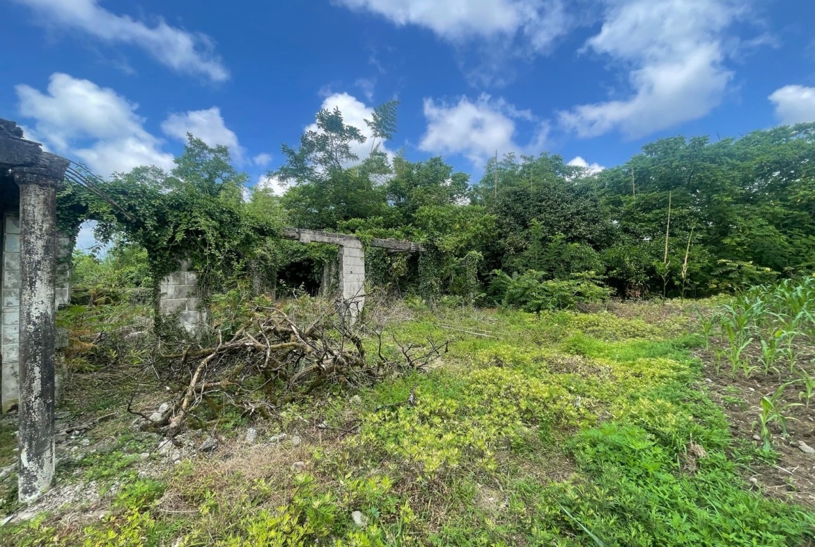 Plot of land in Zemo Natanebi