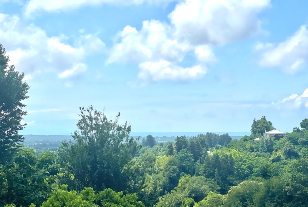 Plot of land in Zemo Natanebi