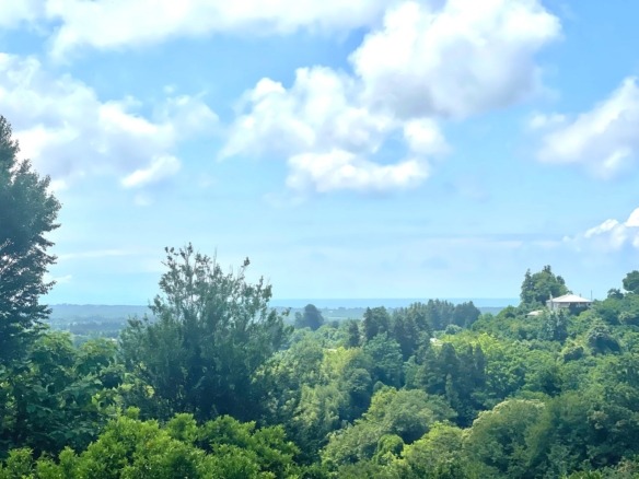 Plot of land in Zemo Natanebi