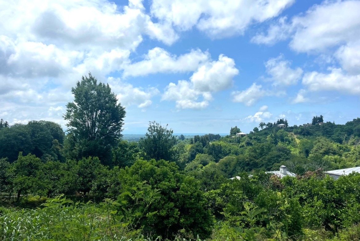 Plot of land in Zemo Natanebi