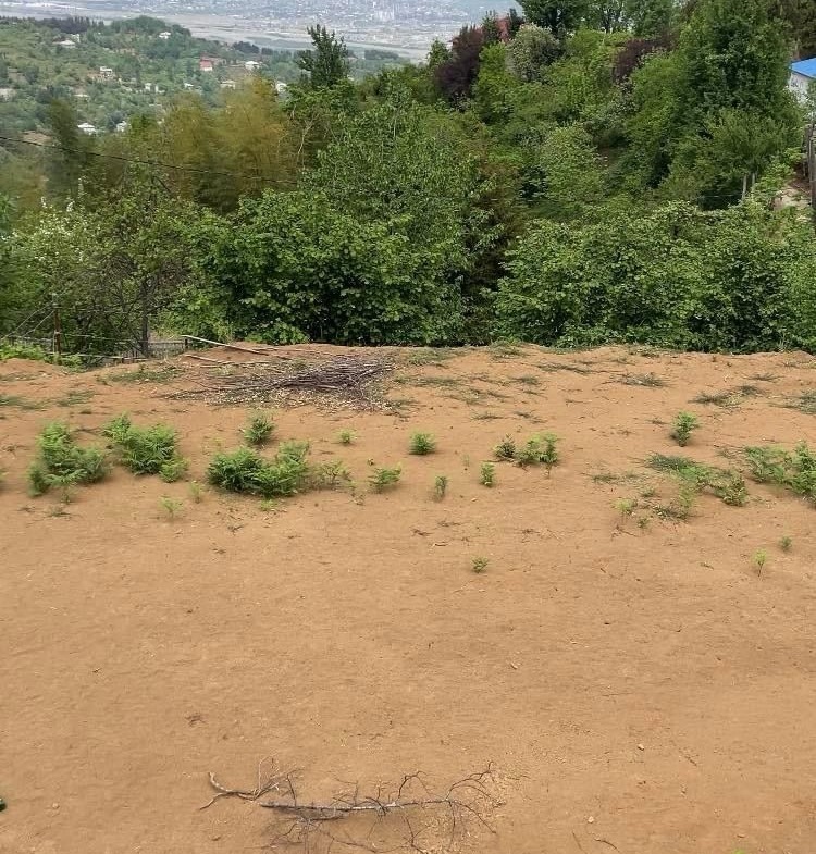Plot of land in Tkhilnari