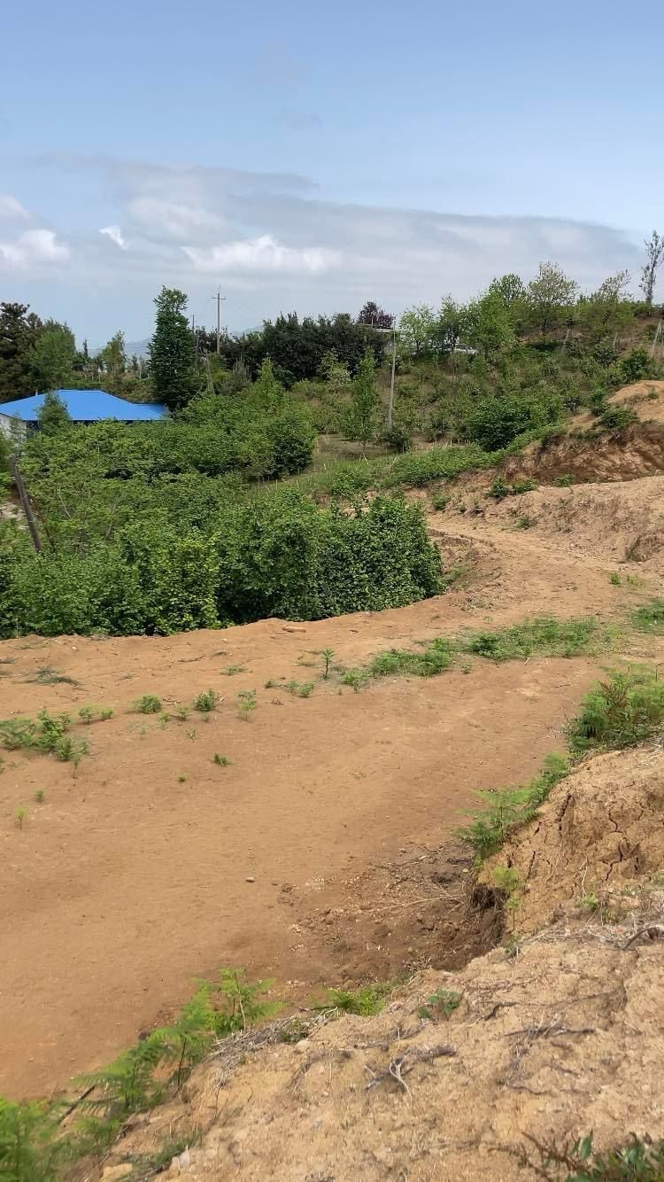 WhatsApp Image 2025-03-13 at 20.32.35 Plot of land in Tkhilnari