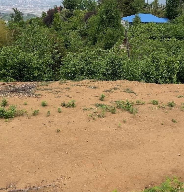 Plot of land in Tkhilnari
