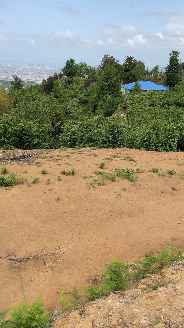 WhatsApp Image 2025-03-13 at 20.32.36 Plot of land in Tkhilnari
