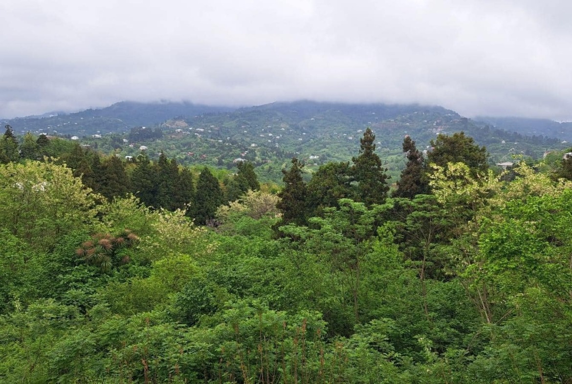 Plot of land in Tsikhisdziri