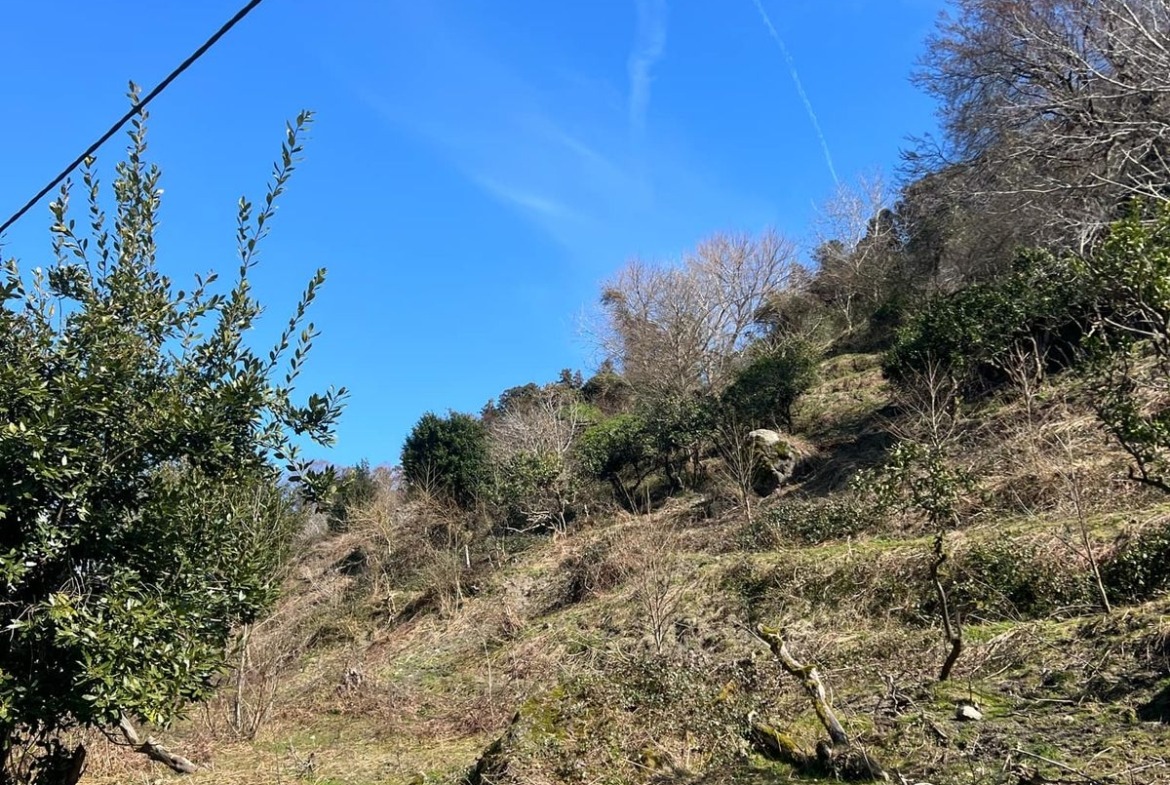 Plot of land in Gonio