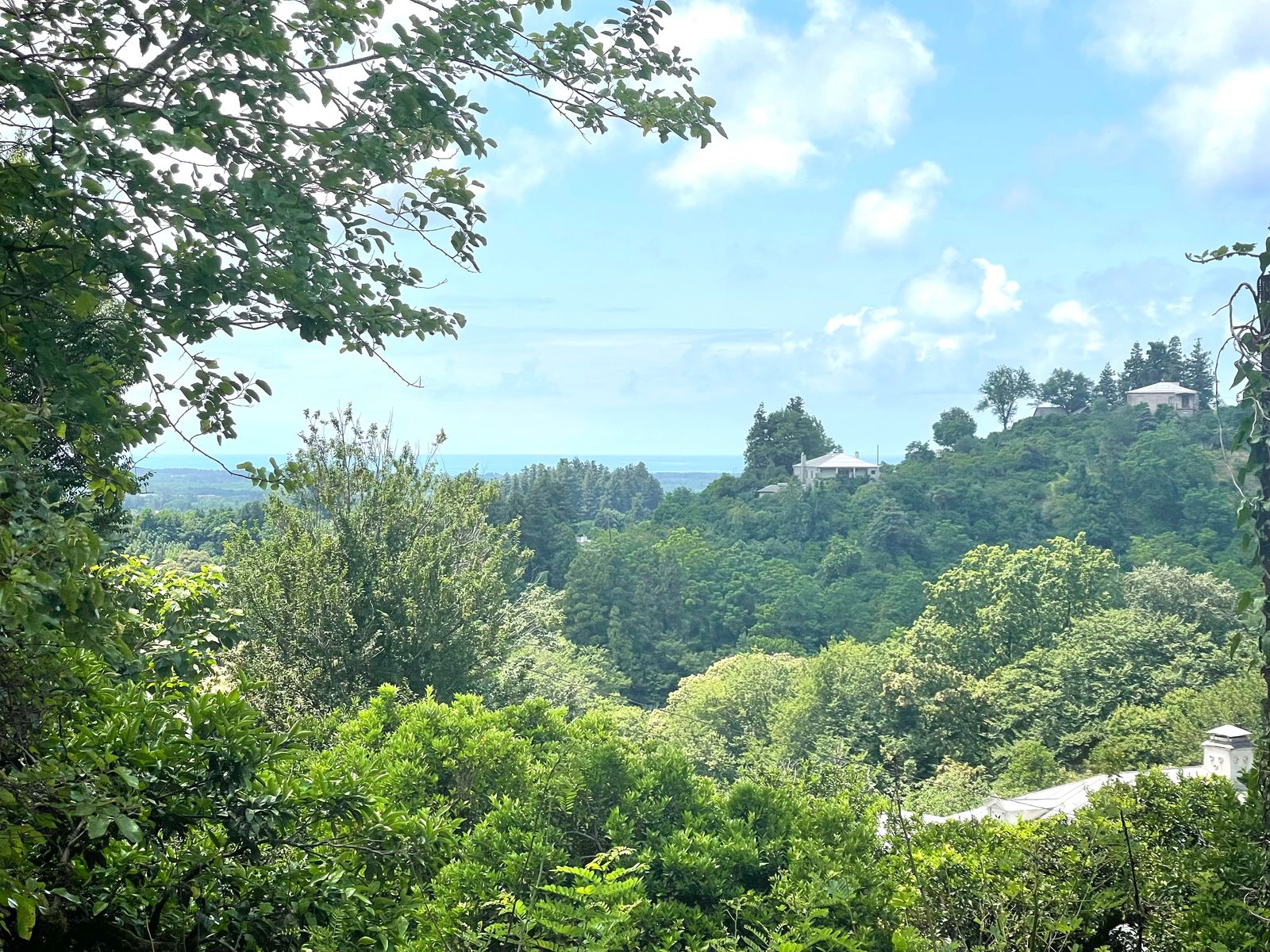 Plot of land in Zemo Natanebi