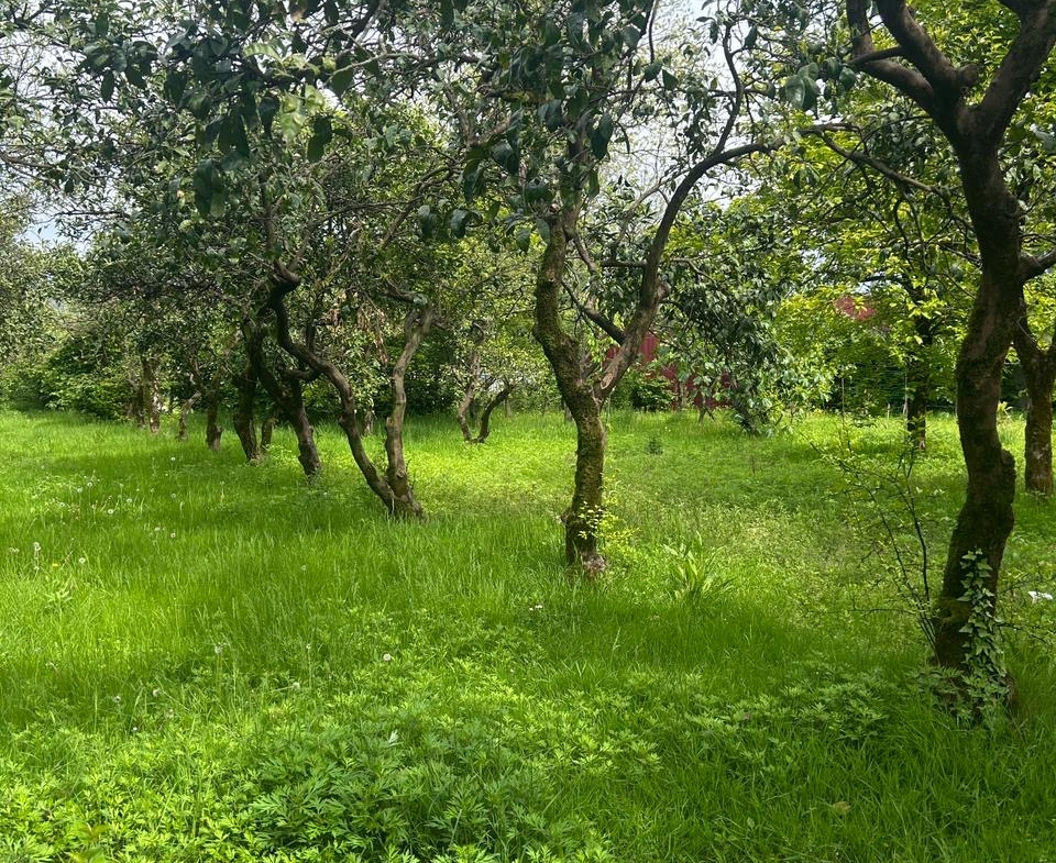 Plot of land for sale in Batumi
