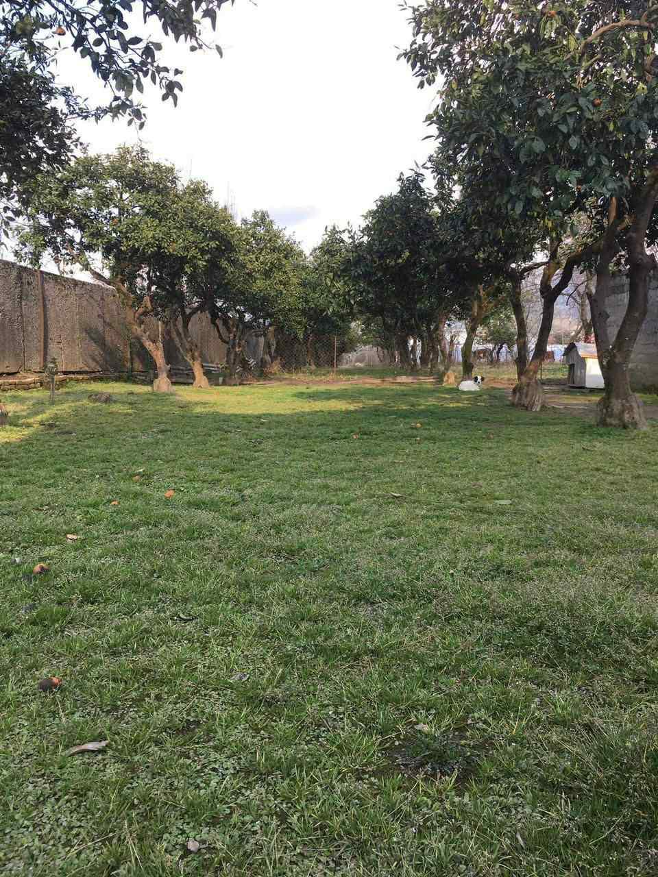 Plot of land for sale in Batumi