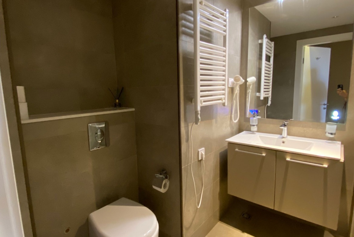 Two rooms apartment in Alliance Palace