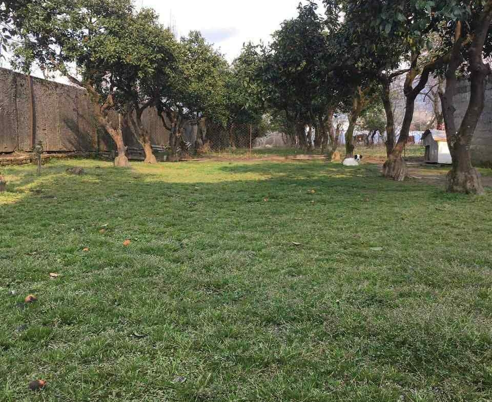 Plot of land for sale in Batumi