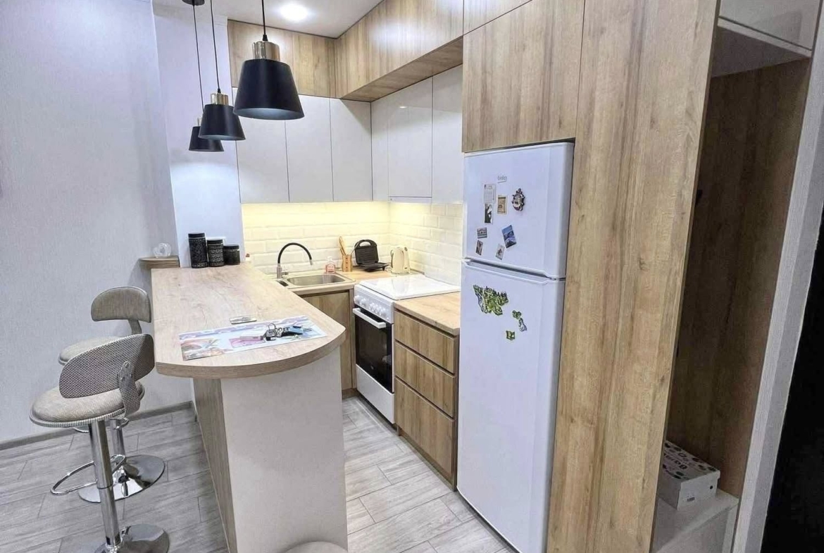 Three rooms apartment in NBG
