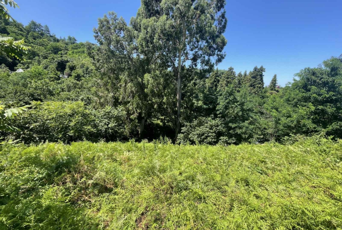 Plot of land for sale in Batumi