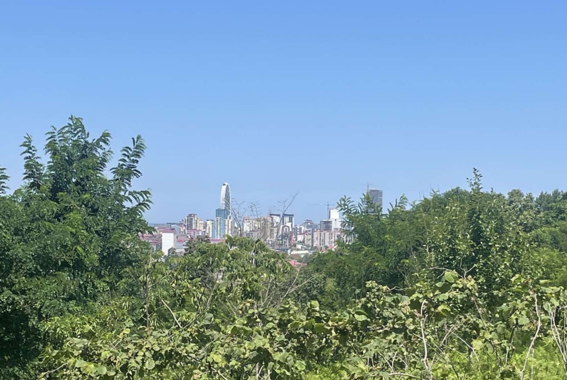 Plot of land for sale in Batumi