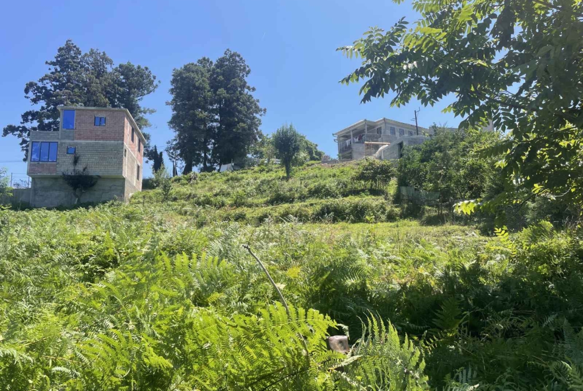 Plot of land for sale in Batumi