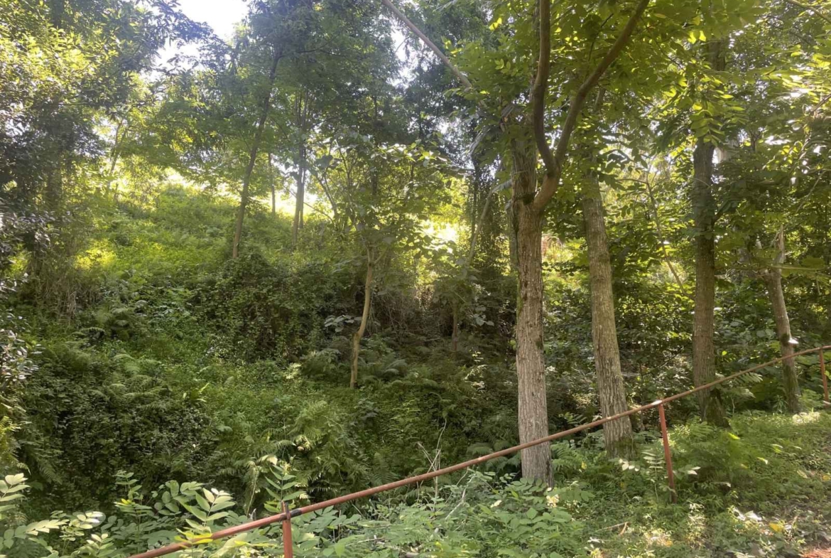 Plot of land for sale in Batumi