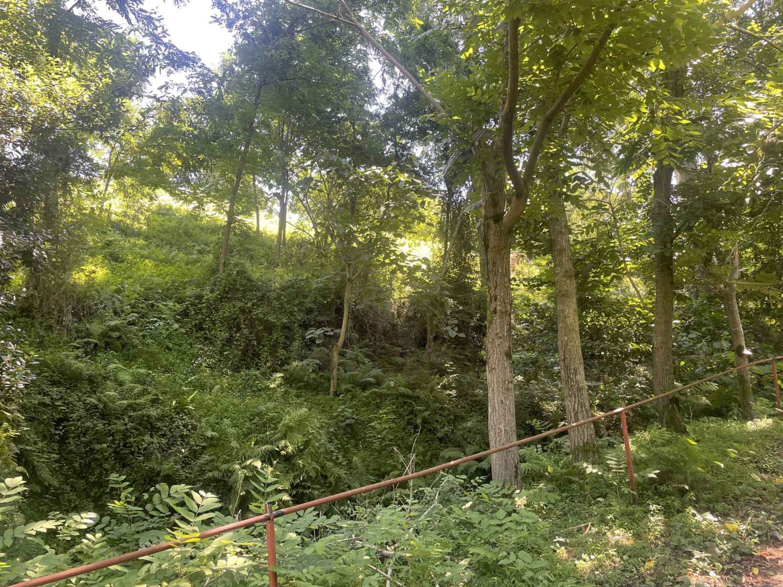 Plot of land for sale in Batumi