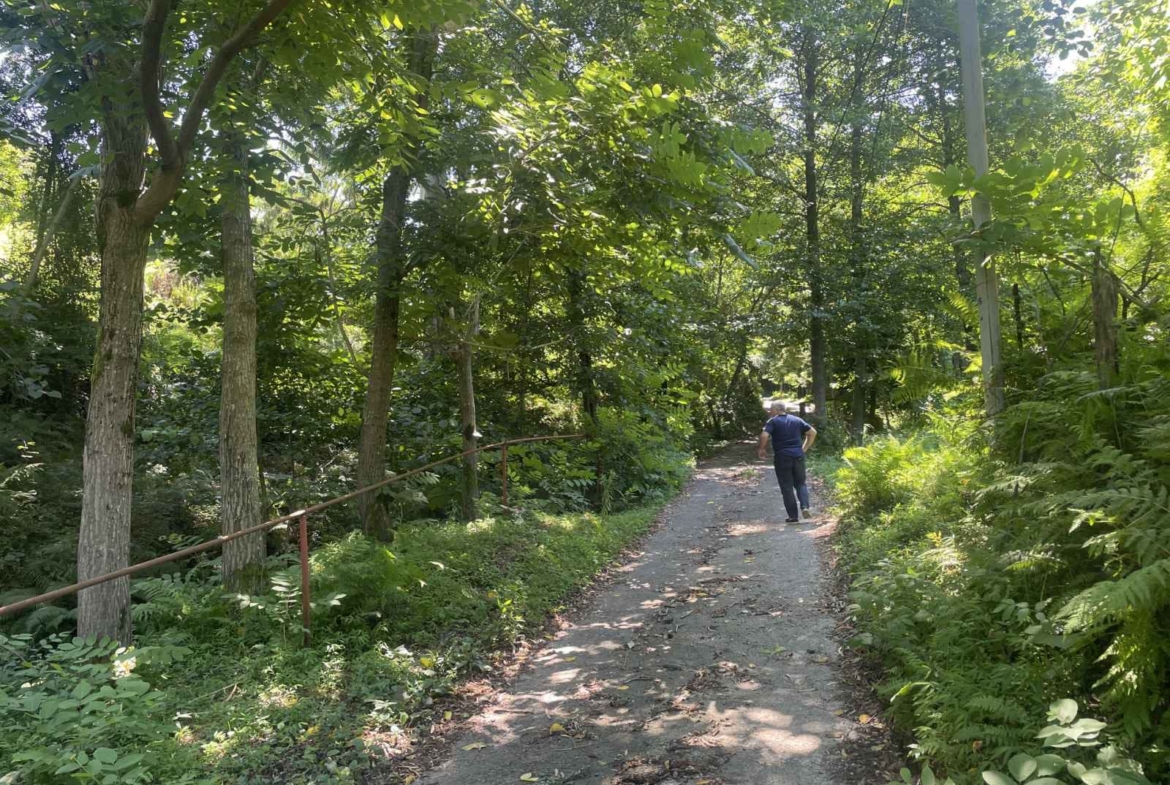 Plot of land for sale in Batumi