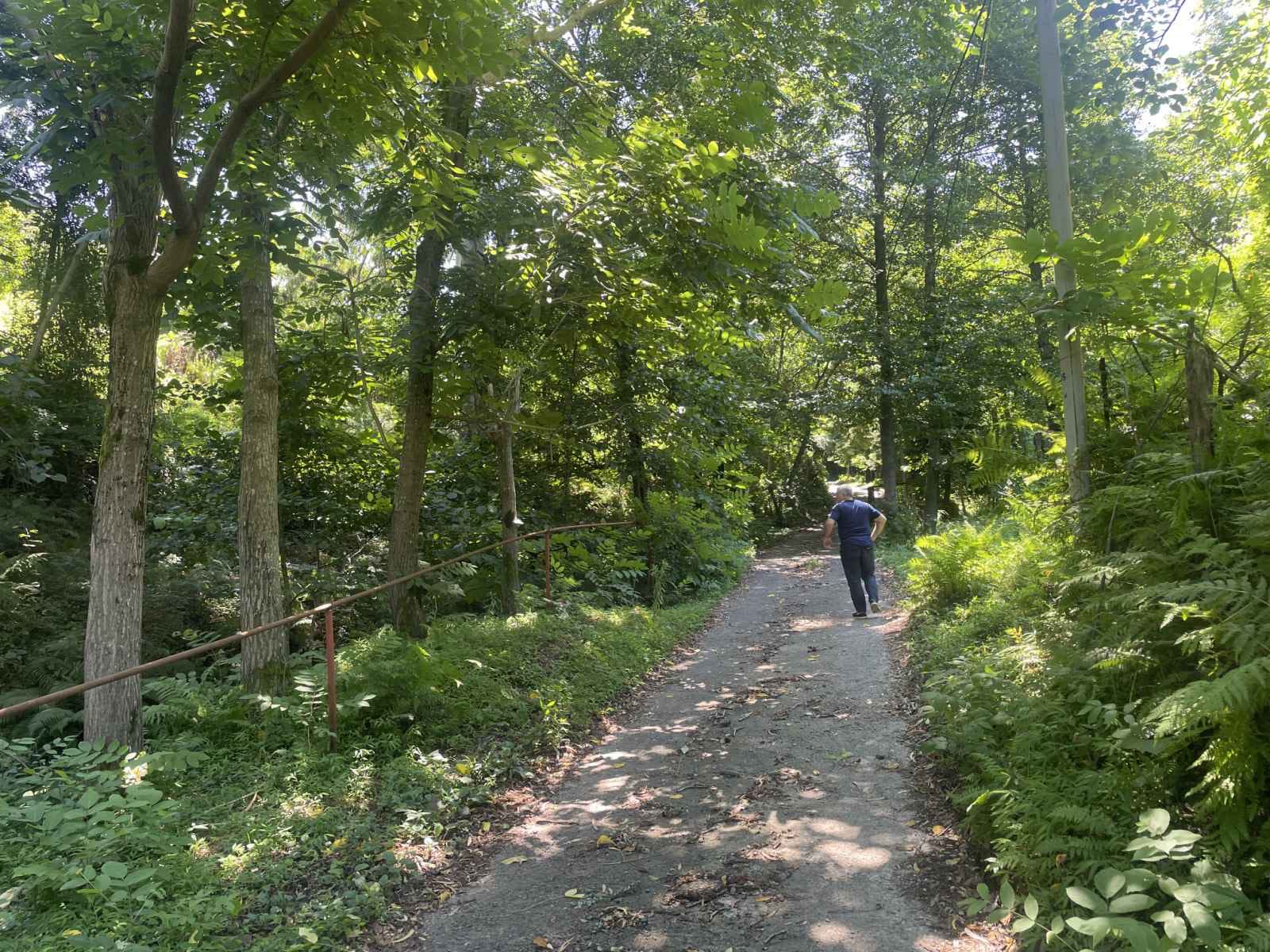Plot of land for sale in Batumi