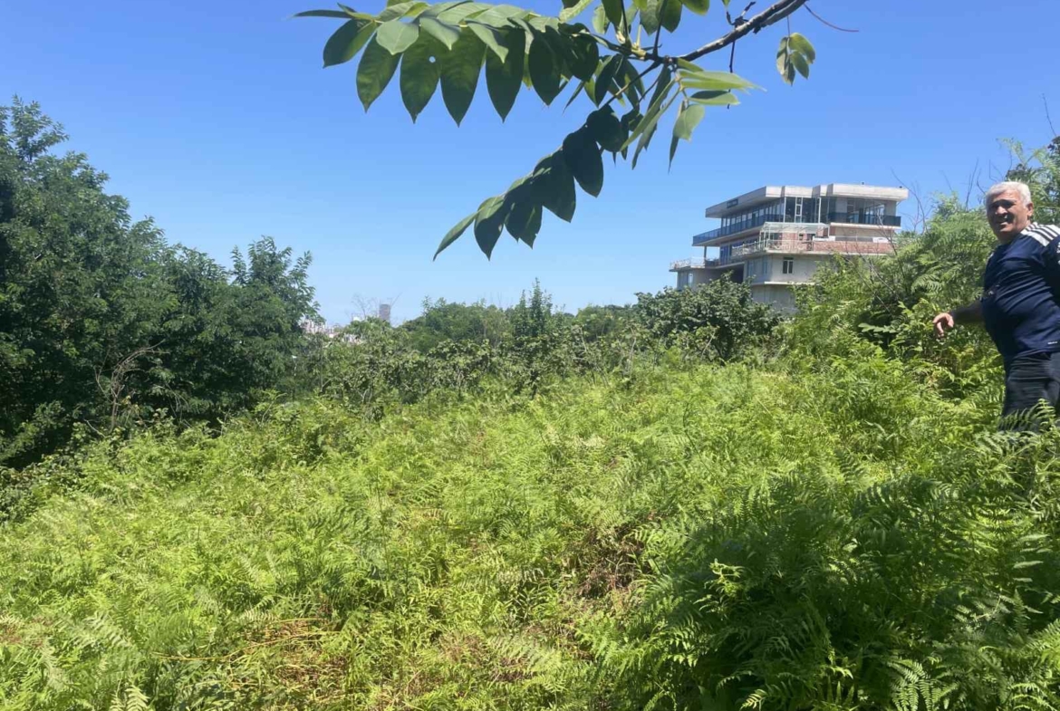 Plot of land for sale in Batumi