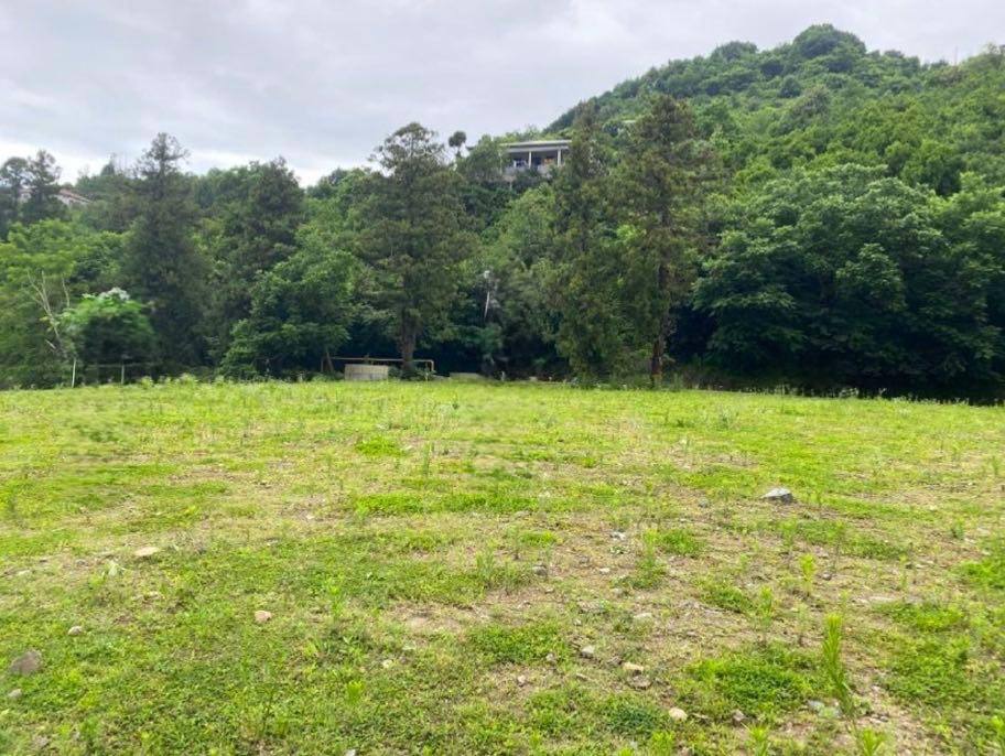Non-agricultural plot of land in Chakvi