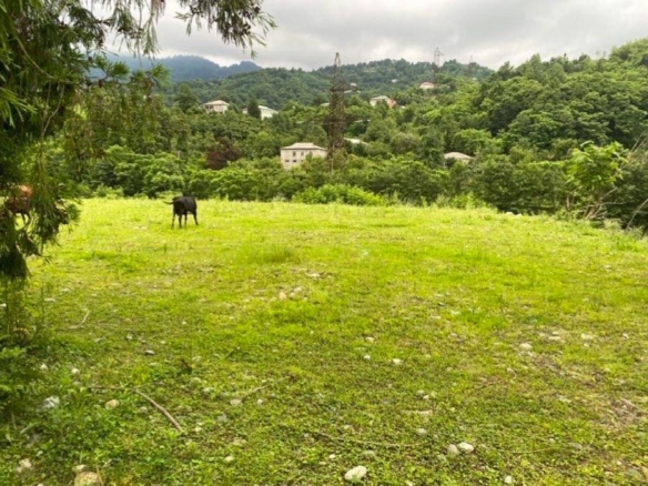 Non-agricultural plot of land in Chakvi