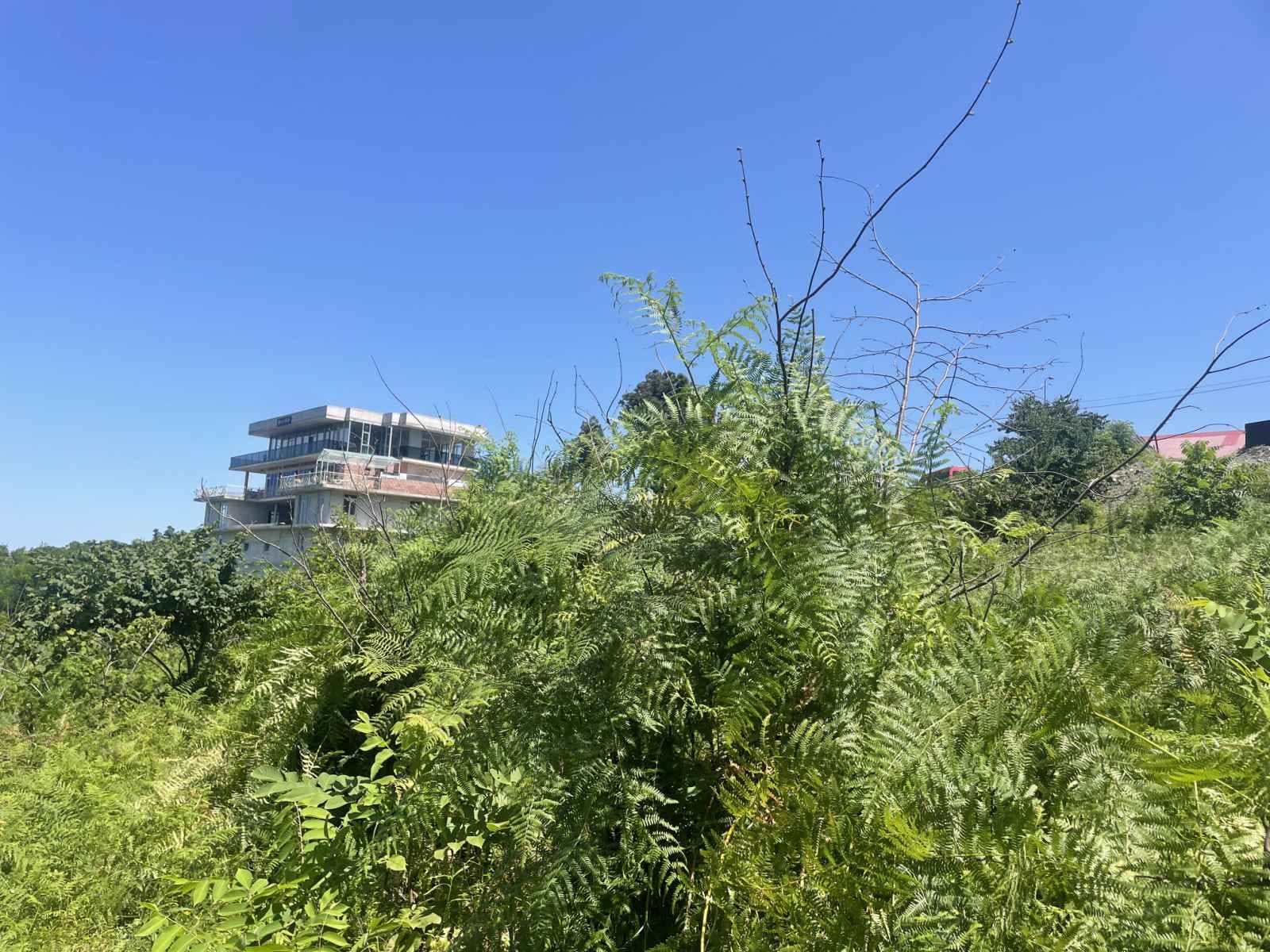 Plot of land for sale in Batumi