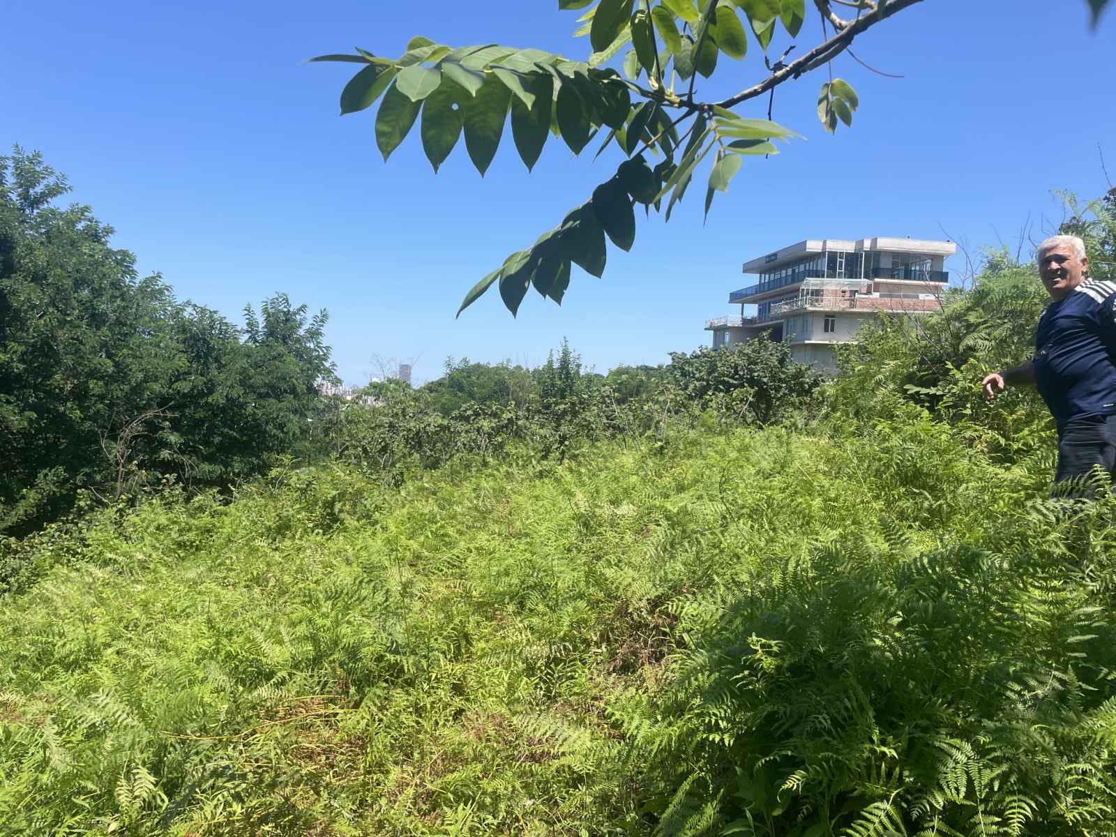Plot of land for sale in Batumi