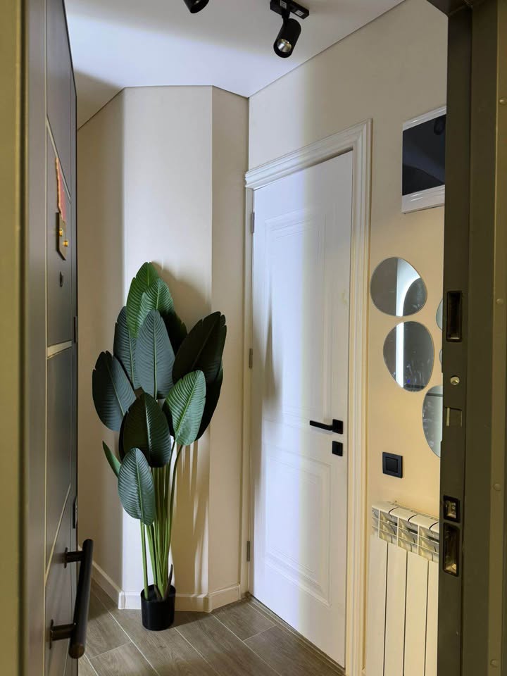 Two room apartment in Bagrationi Residence