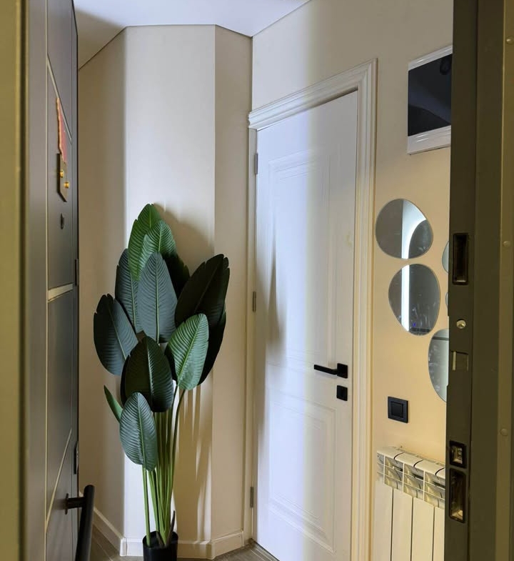 Two room apartment in Bagrationi Residence