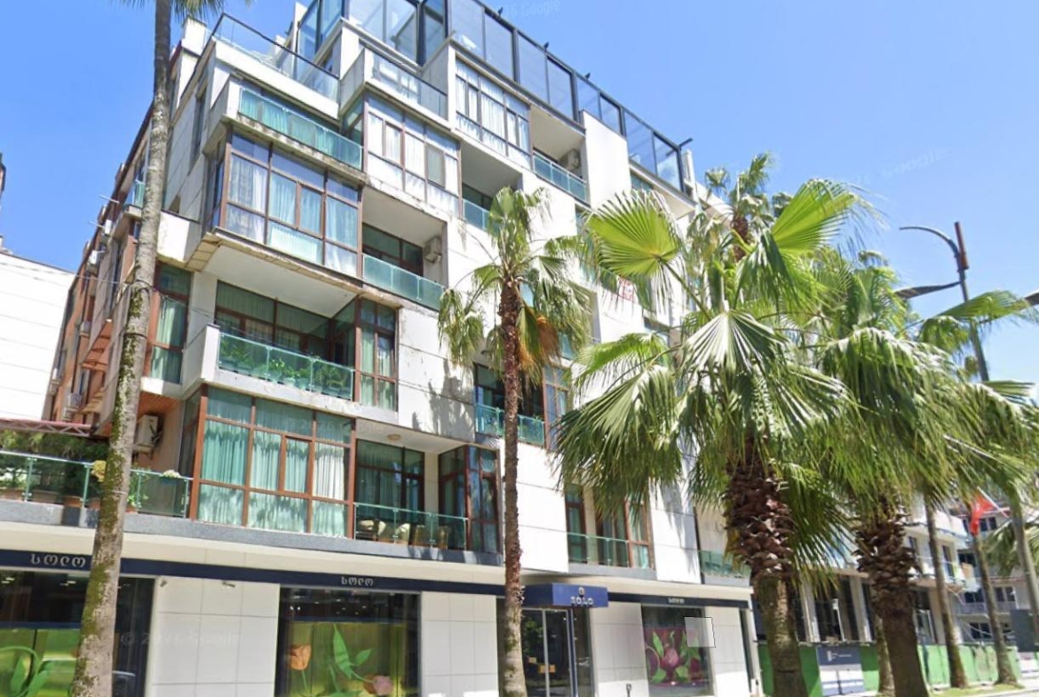 Two room apartment on Rustaveli avenue
